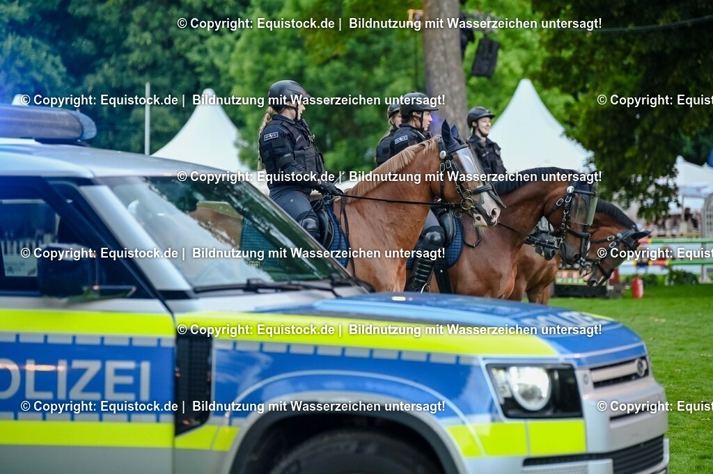 20250606_Lange-Pferdenacht_0709 | Foto: Thomas Hartig