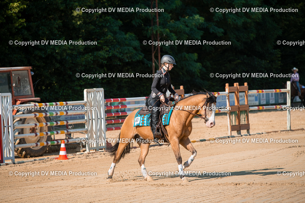 ZS2_8805 | dv-media-shop - Realisiert mit Pictrs.com