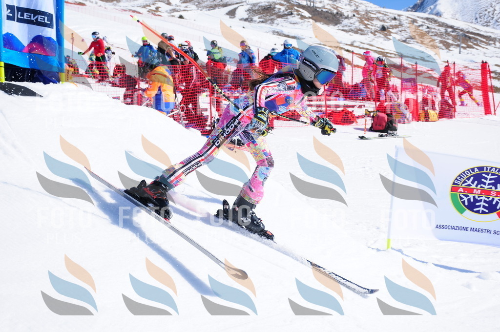 DSC_4003 | holidayphoto