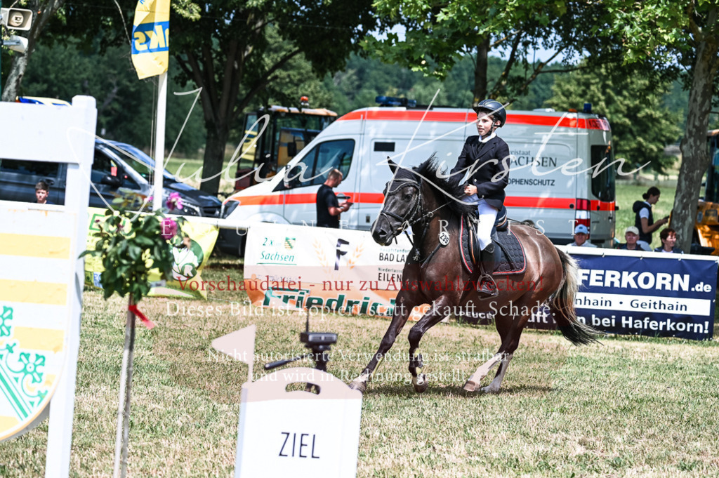 DSC_9768 | Pferde- und Turnierfotografie in Westsachsen. Pferdeportraits, Auftragszeichnungen und intuitive Kunst.