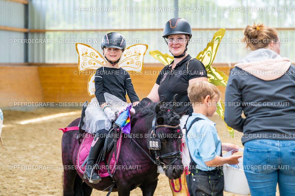 DSC00267 | Pferdegrafie