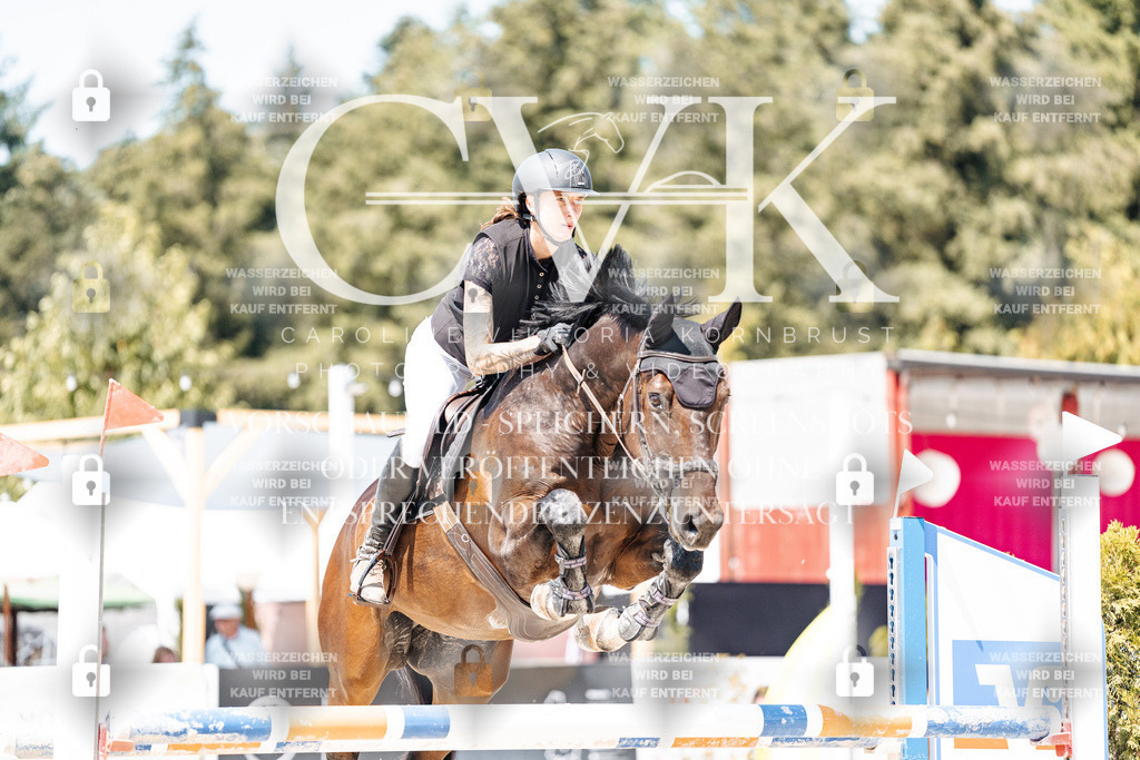 CK901031 | Turnierfotografie Pferdefotografie Trier Rheinland-Pfalz Pferdesport Reitsport Tierfotografie Sportfotografie Pferdevideo Pferdevideografie Equestrianvideography equestrianphotography  - Realisiert mit Pictrs.com