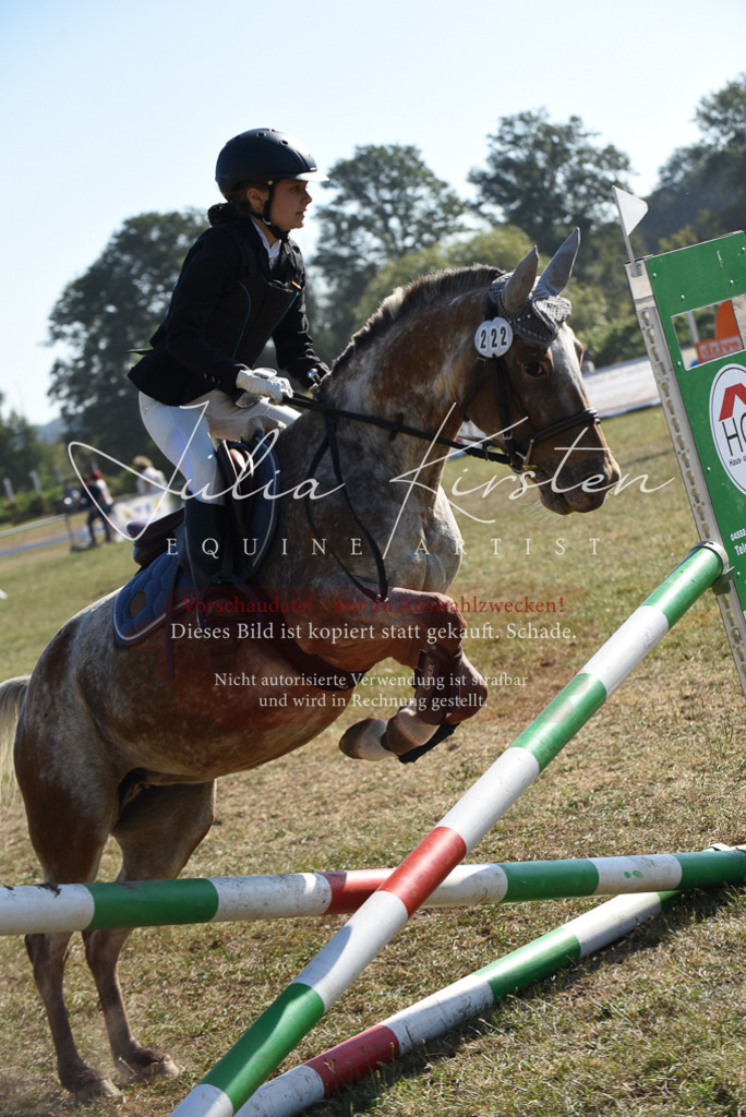 DSC_5902 | Pferde- und Turnierfotografie in Westsachsen. Pferdeportraits, Auftragszeichnungen und intuitive Kunst.