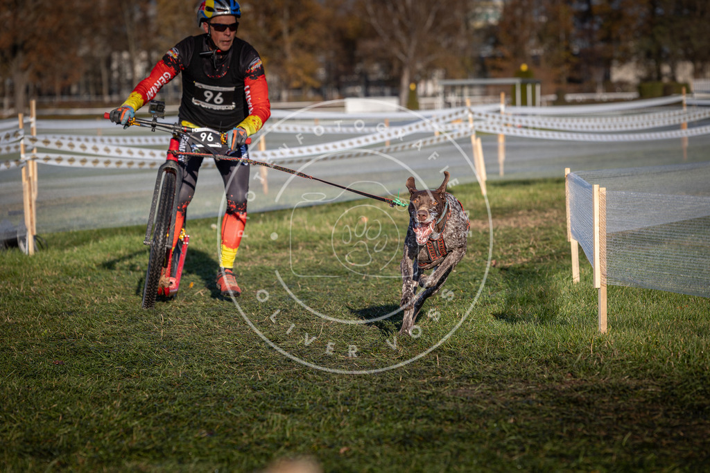 CaniXpix_0L8A4076 | Hundefotografie, Tierfotograf, Pfotenfotografie, Fotoshooting Hund, Hunde Portrait, Hundesport, Hundeportraits, Heideshooting, Hunde, Sportfotograf, Hundefotograf, Turnierhundsport, THS,  - Realisiert mit Pictrs.com