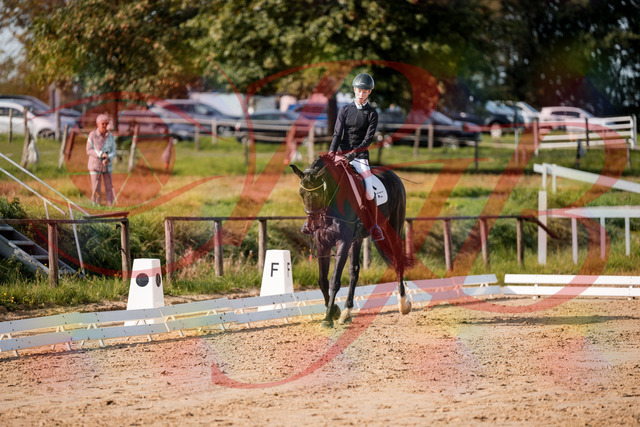 2026_10_03_Siefer-Hof_115459_Z63_30275283 | Professionelle Reitsport-, Turnier- und Eventfotografie von Robert Broda. Galerien mit ausgewählten und bearbeiteten Bildern direkt online ansehen und bestellen.