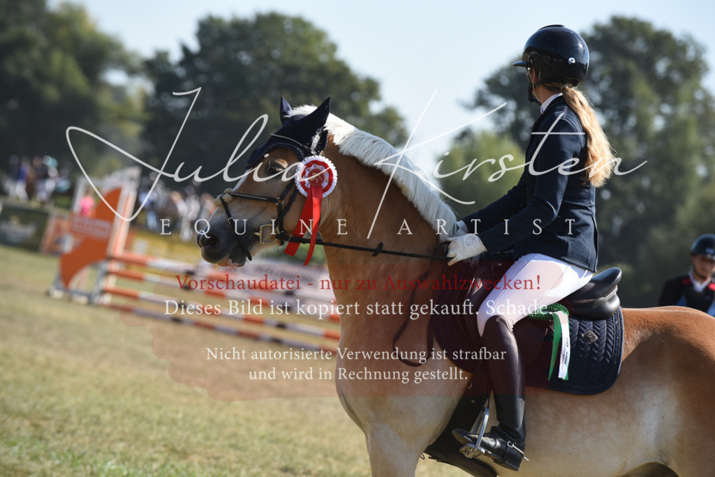 DSC_6199 | Pferde- und Turnierfotografie in Westsachsen. Pferdeportraits, Auftragszeichnungen und intuitive Kunst.