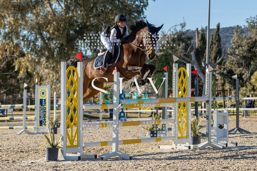 IMG_2201 | s-jay-photography - Realisiert mit Pictrs.com