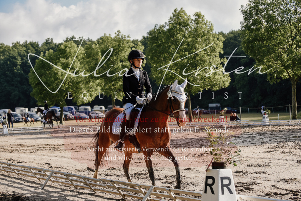DSC_7882 | Pferde- und Turnierfotografie in Westsachsen. Pferdeportraits, Auftragszeichnungen und intuitive Kunst.