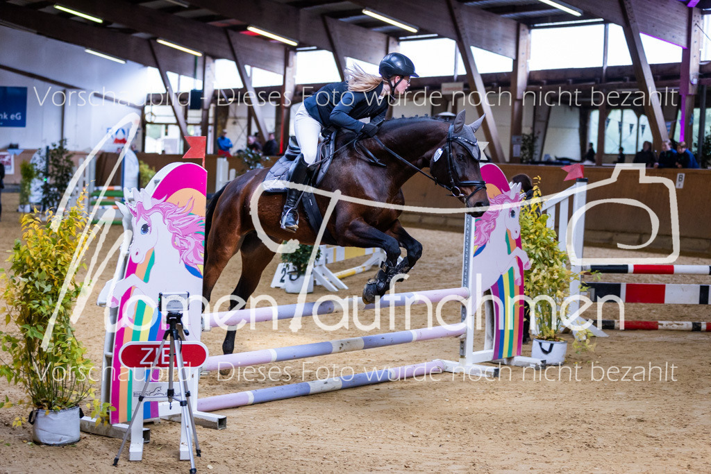 Sth-E-Springen-051 | MomenTaufnahmen Pferdesportfotos