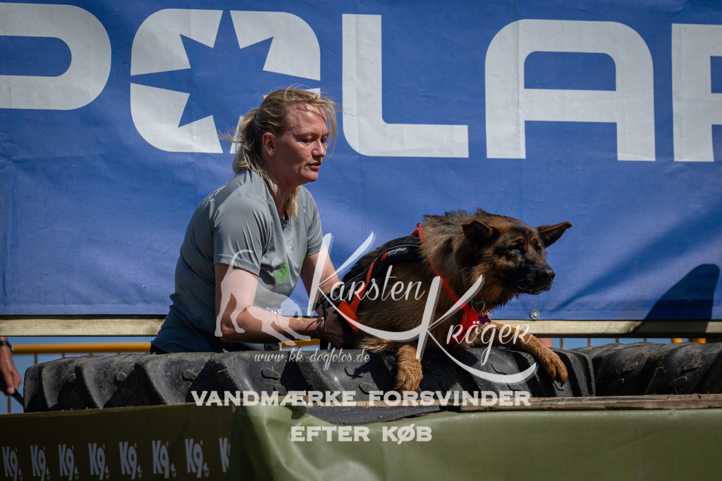 1152_ZZ92718 | kk-dogfotos