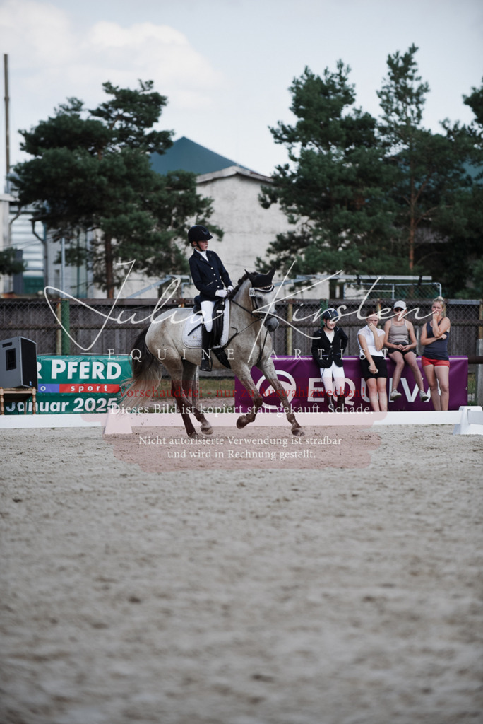 DSC_9954 | Pferde- und Turnierfotografie in Westsachsen. Pferdeportraits, Auftragszeichnungen und intuitive Kunst.