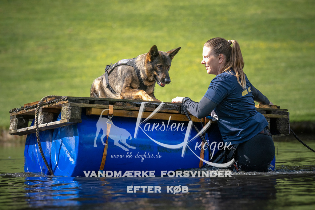 0837_ZZ99739 | kk-dogfotos
