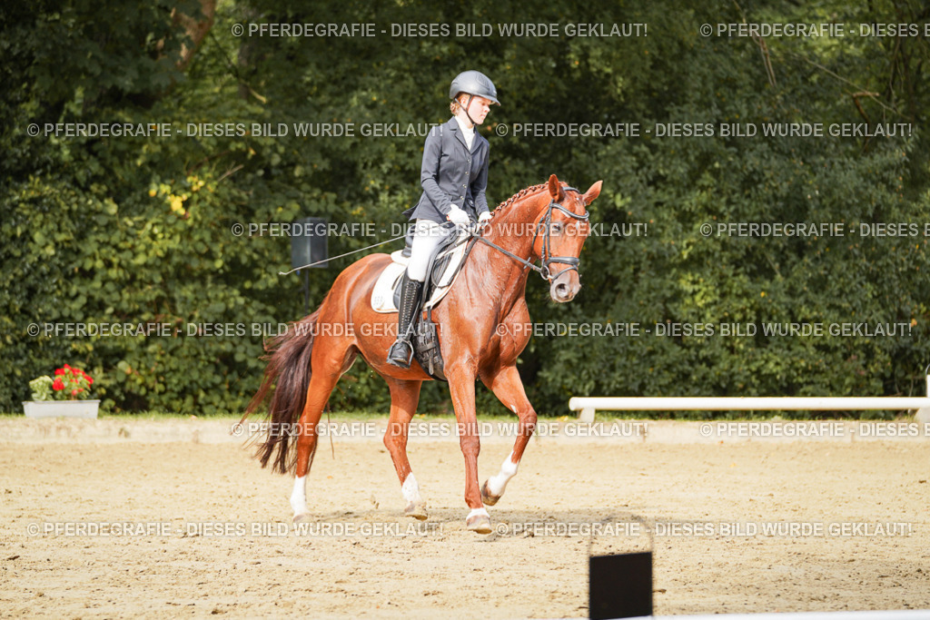 DSC03520 | Pferdegrafie