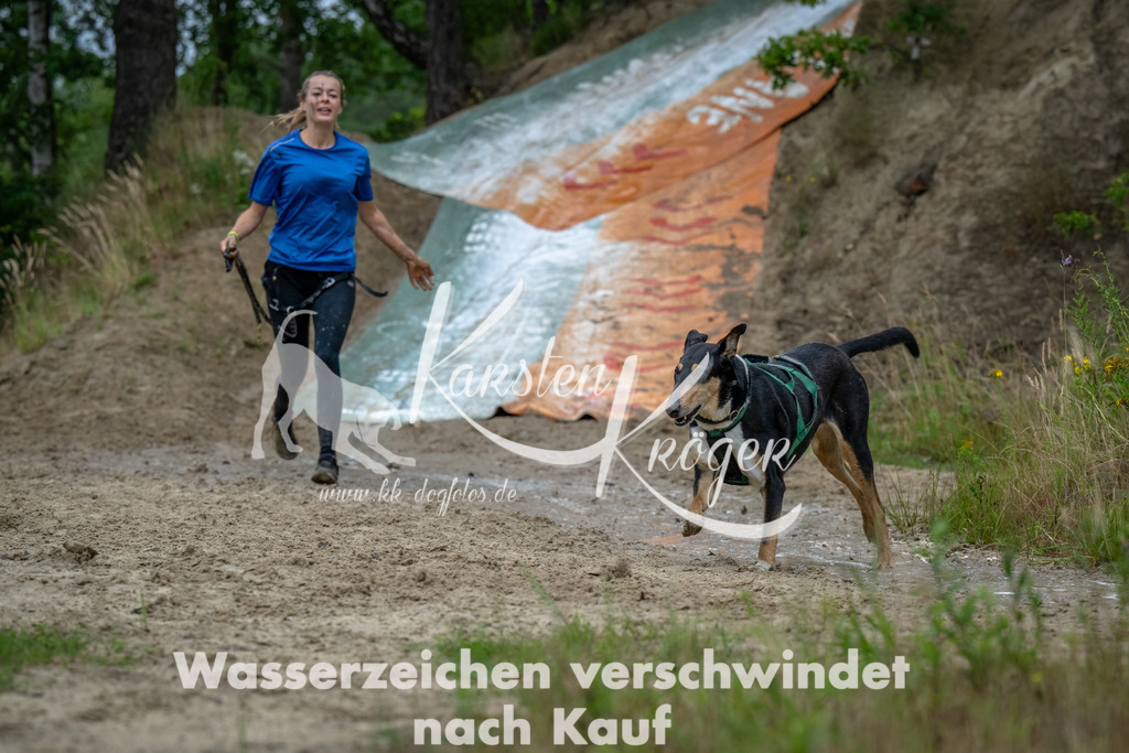 1250_ZZ90384-Bearbeitet-Bearbeitet | kk-dogfotos