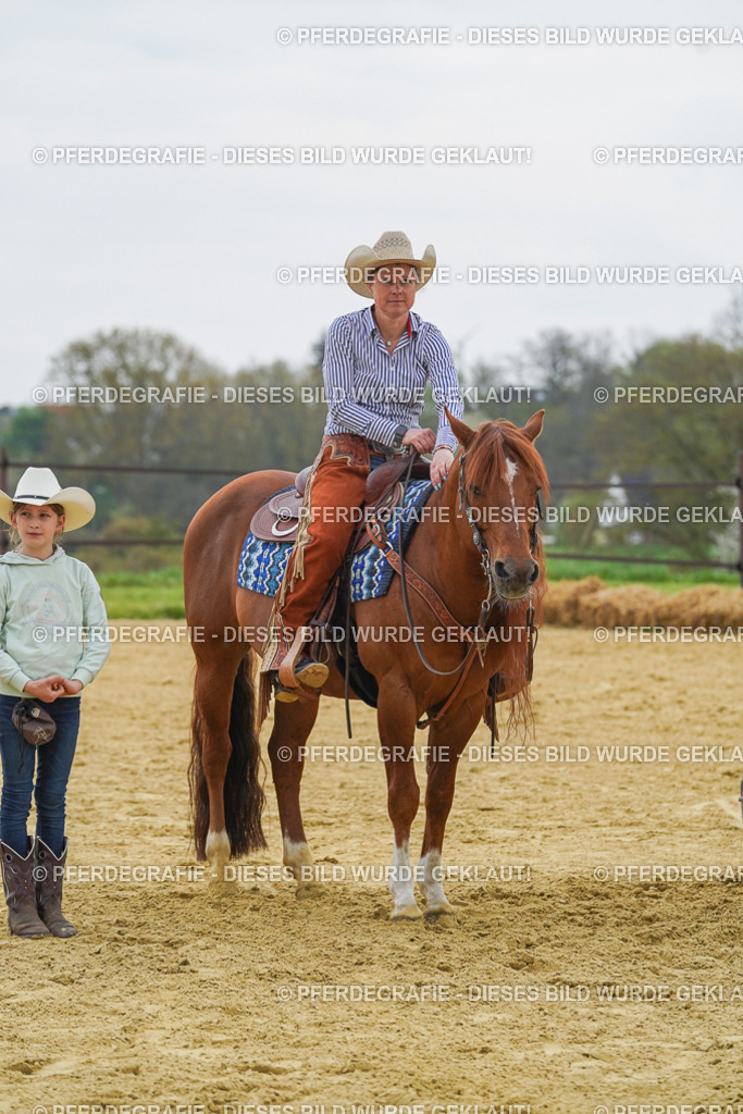 DSC07837 | Pferdegrafie