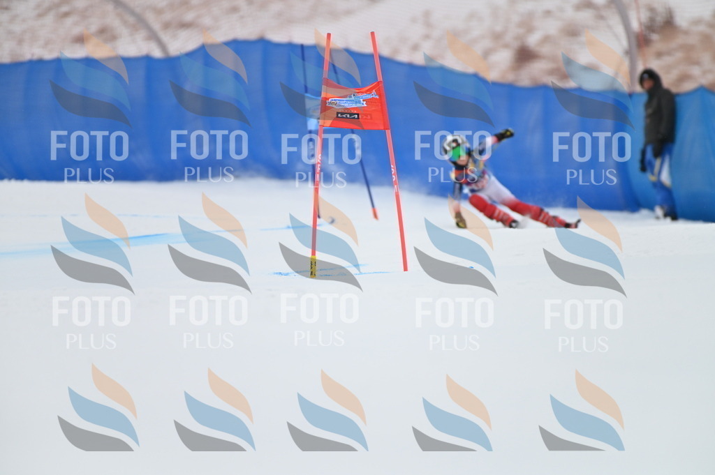 BGV_9971 | holidayphoto