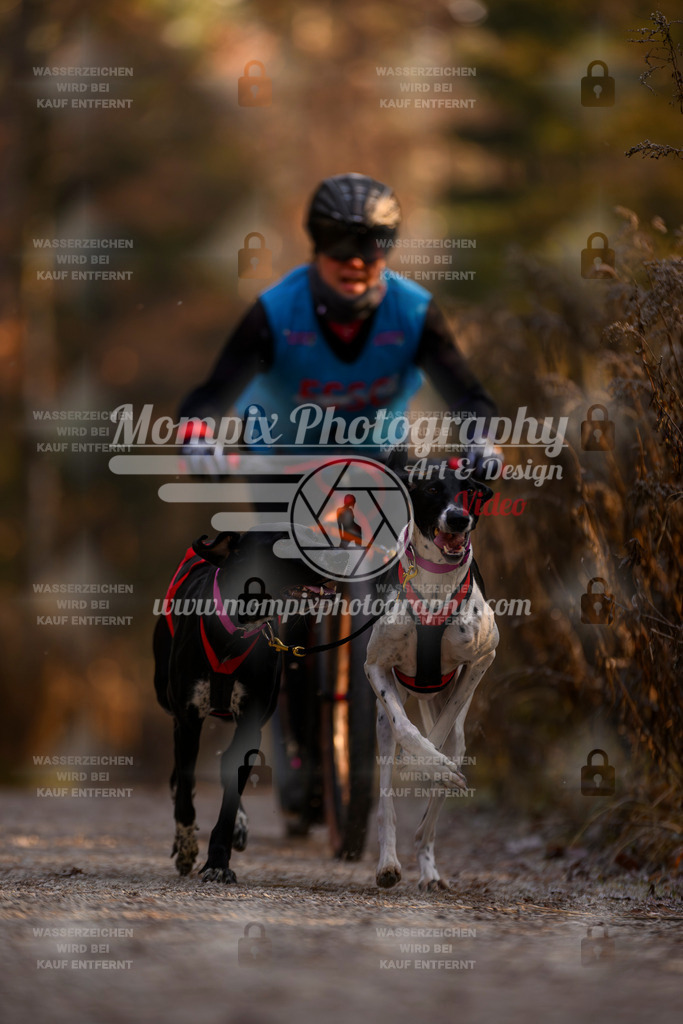 MompixPhotography_DM_AKDM_SO_2025_Scooter-41 | PayLife