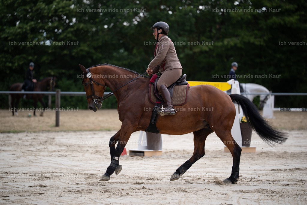 WL_ST_140_stoibphotography__SO10261 | working equitationturnier fotograf videograf stoibphotography marixx film working equitation deutschland reitsport turnierfotografie eventfotografie equestrian events