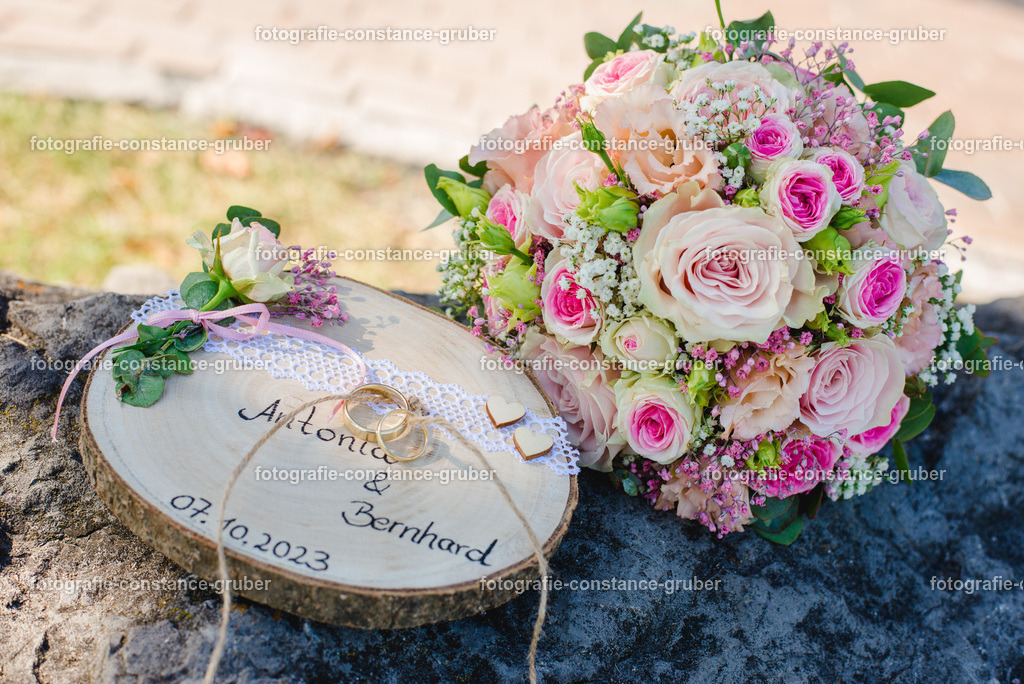 1013 | Fotografie Constance Gruber - Realisiert mit Pictrs.com