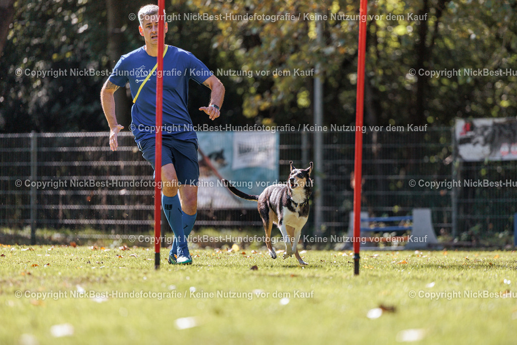 THS-HSV-Blumenthal-2026-Nickbest-Hundefotografie-3790 | Dein Hund! Dein Moment! Deine Erinnerungen! Hundefotografie in Bremen Blumenthal. Ich fange die besonderen Momente deines Vierbeiners ein – ob Indoor mit Blitzanlage oder in der freien Natur. Sicher dir dein Moment und dein Termin für eure Erinnerungen.