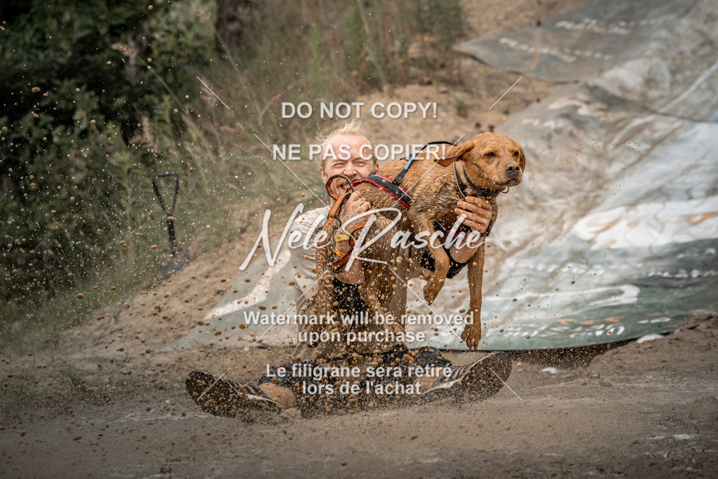 nelerasche_sa1600-1700_165 | nelerasche