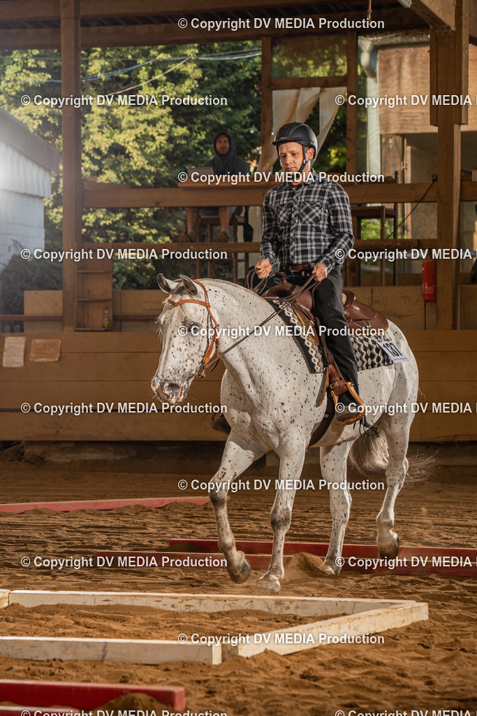 NID02479 | dv-media-shop - Realisiert mit Pictrs.com