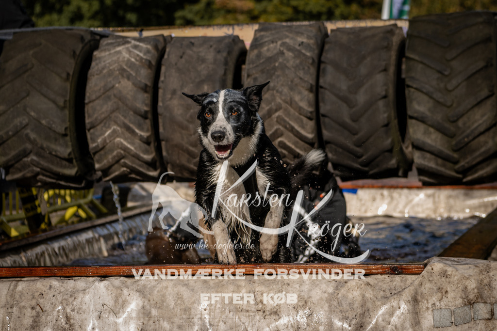 1348_ZZ93099 | kk-dogfotos