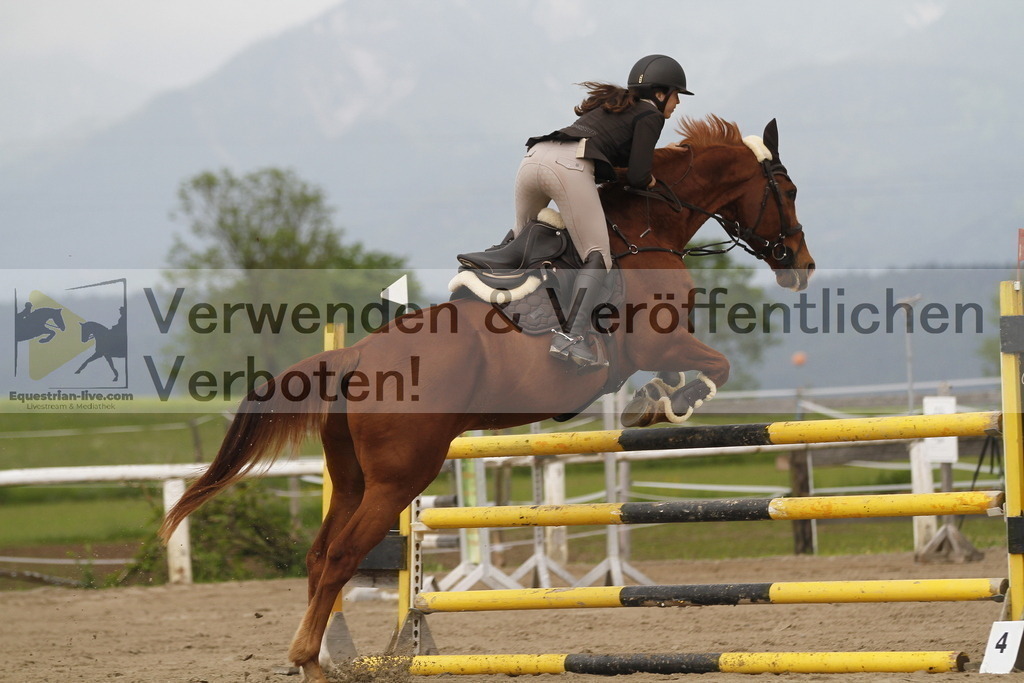 _MG_8012 | equestrian-live-com