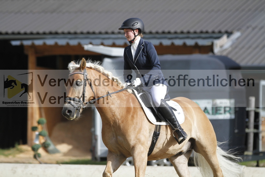 _MG_0165 | equestrian-live-com