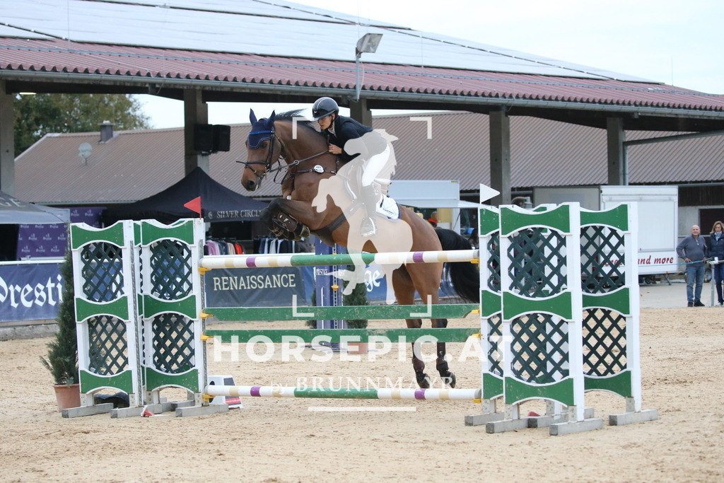 DL2Q6502 | Willkommen bei Brunnmayr - Design & Fotografie – Ihrem Spezialisten für Reitturniere und Pferdeveranstaltungen in Oberösterreich, Salzburg und Bayern! Seit über 17 Jahren sind wir leidenschaftlich dabei.