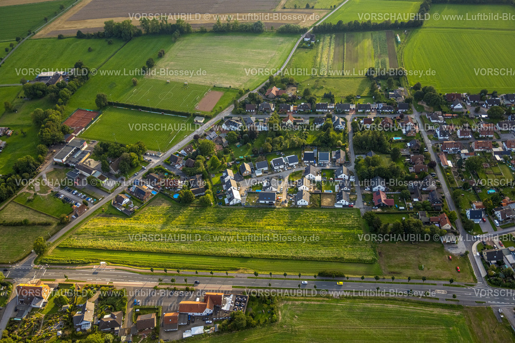 Werl230807276 | Luftbild, Einfamilienhaus-Wohnsiedlung Albert-Schweitzer-Straße, Hilbeck, Werl, Werl-Unnaer Börde, Nordrhein-Westfalen, Deutschland
