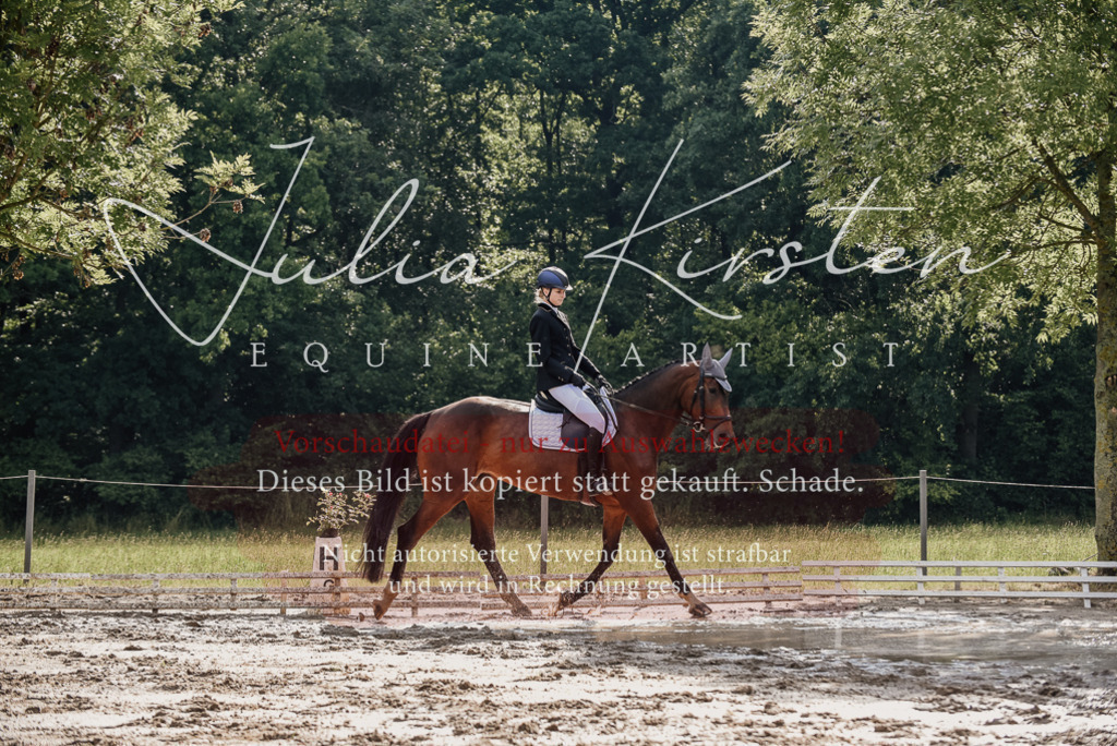 DSC_9060 | Pferde- und Turnierfotografie in Westsachsen. Pferdeportraits, Auftragszeichnungen und intuitive Kunst.