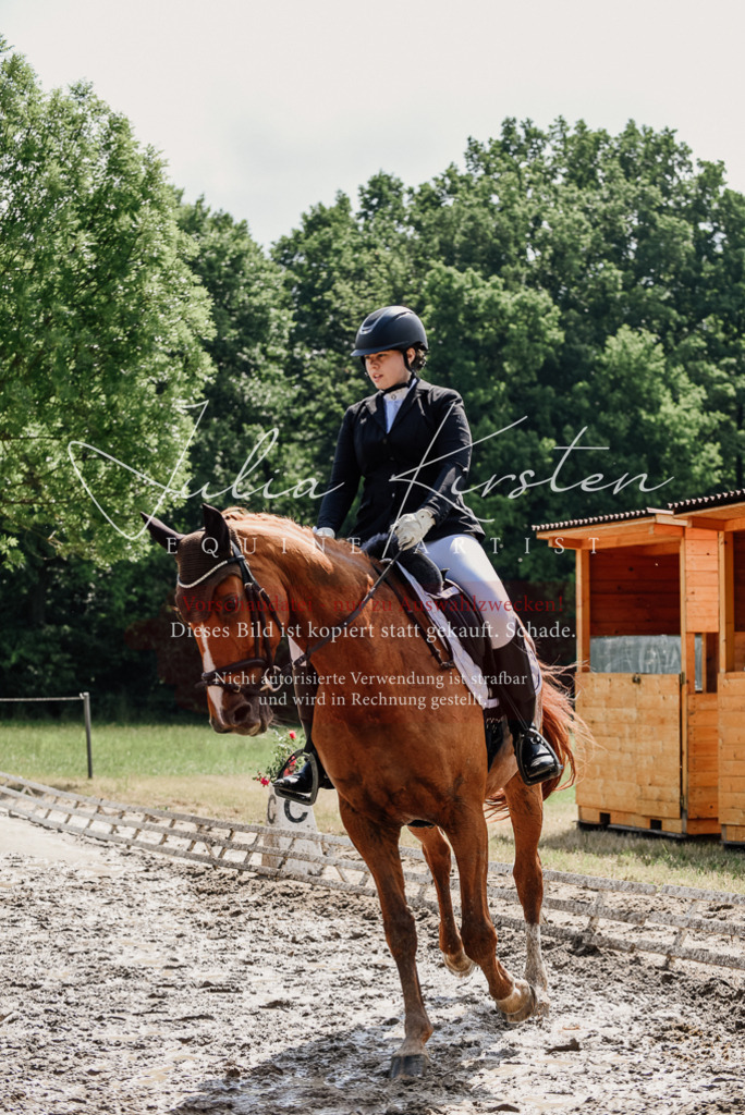 DSC_0272 | Pferde- und Turnierfotografie in Westsachsen. Pferdeportraits, Auftragszeichnungen und intuitive Kunst.