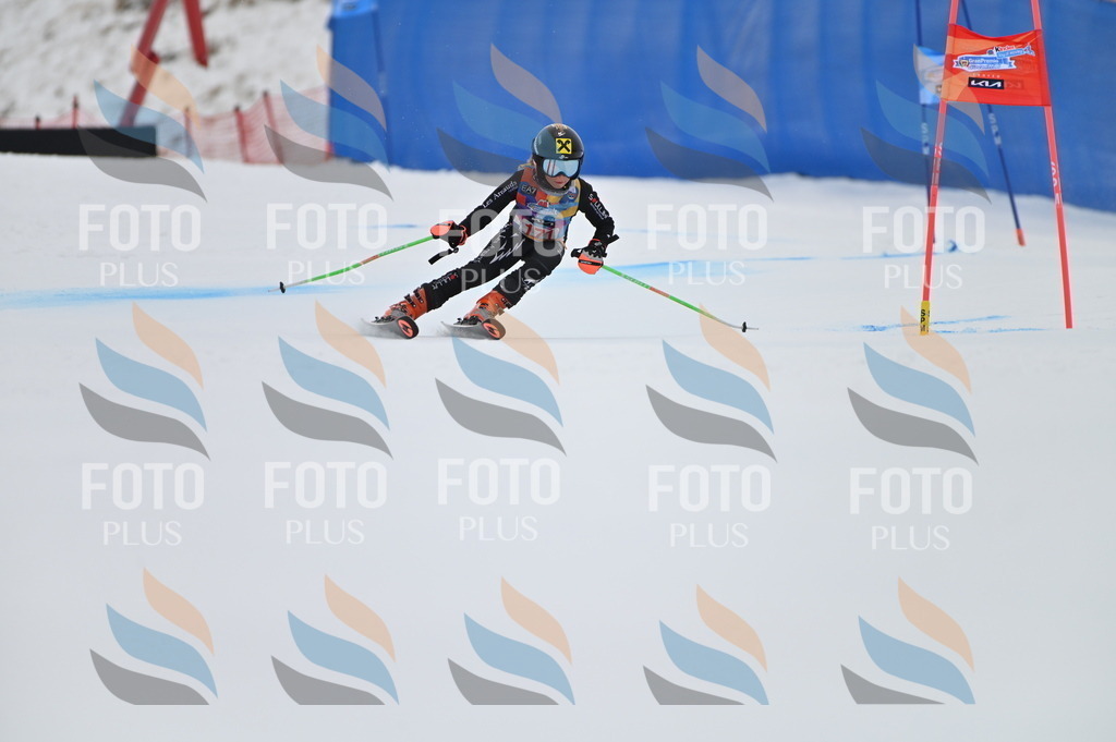 BGV_0614 | holidayphoto