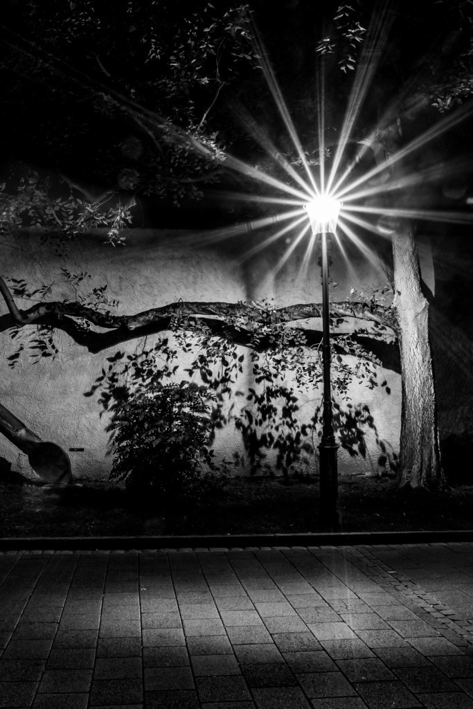 Oberer Rheinweg in Basel by Night | Schöne Fotografien aus der Stadt und der Natur zum bestellen oder selber hochladen. Druck auf Foto, Postkarte, Kalender, FineArt Hahnemühle, Alu-Dibond , Akustikbilder zur Absorption von Schall und Lärm etc. - Realisiert mit Pictrs.com