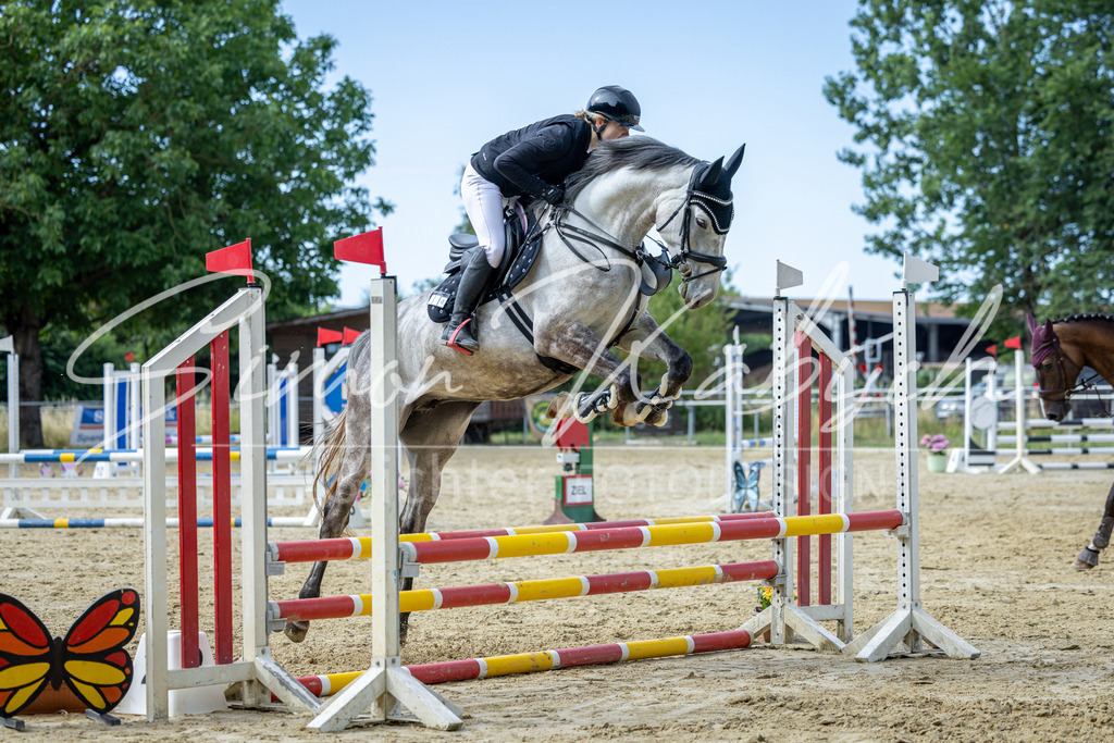 20260704-_3LI6679 | Tierfotografie Pferde, Hunde, Katzen, Haustiere.
Turnierfotografie Reitturniere, Reiten, Springreiten, Dressur in Hanau, dem Main-Kinzig-Kreis und dem Rhein-Main- Gebiet um Frankfurt