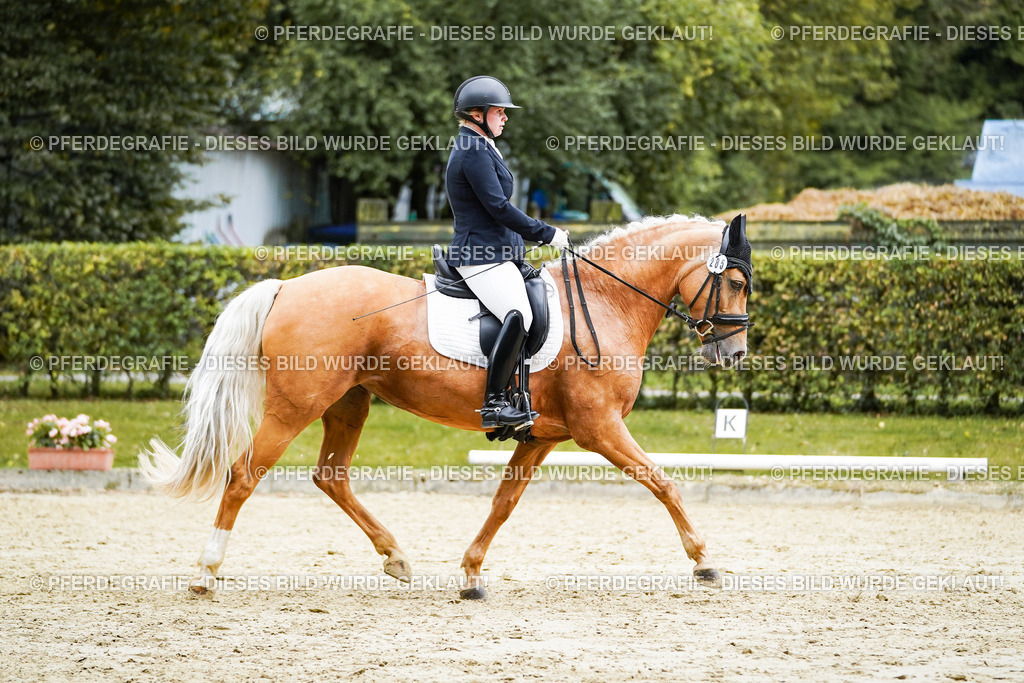 DSC00669 | Pferdegrafie