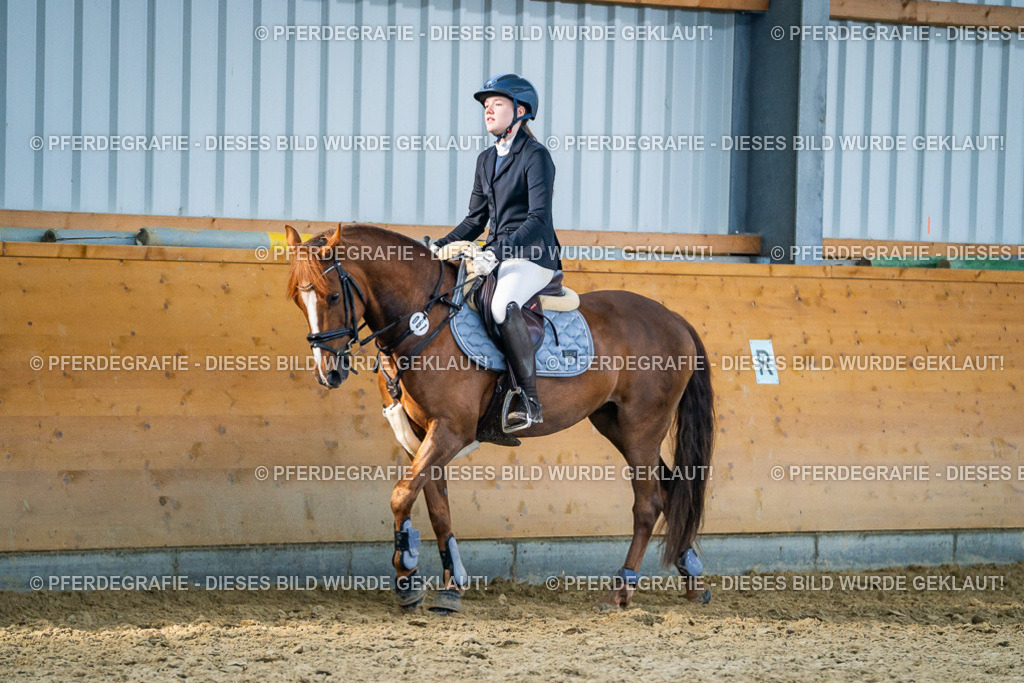 DSC01018 | Pferdegrafie