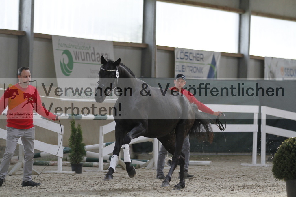 _MG_9820 | equestrian-live-com