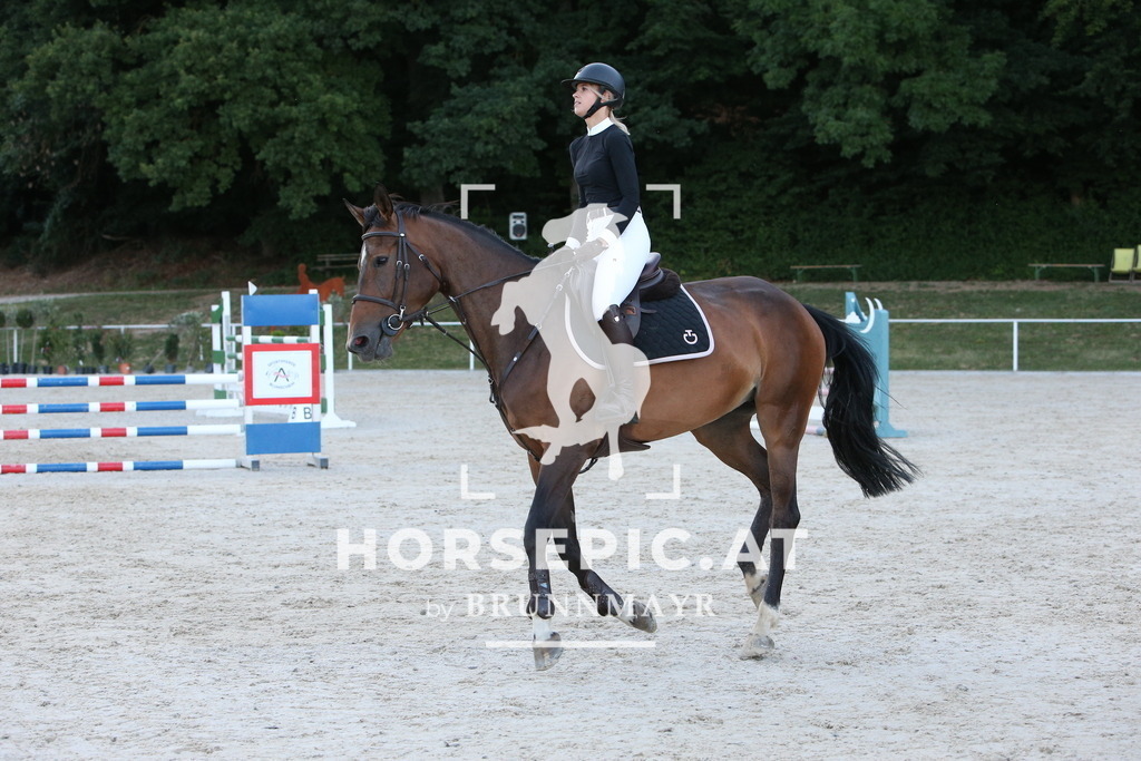 PP015517 | Willkommen bei Brunnmayr - Design & Fotografie – Ihrem Spezialisten für Reitturniere und Pferdeveranstaltungen in Oberösterreich, Salzburg und Bayern! Seit über 17 Jahren sind wir leidenschaftlich dabei.