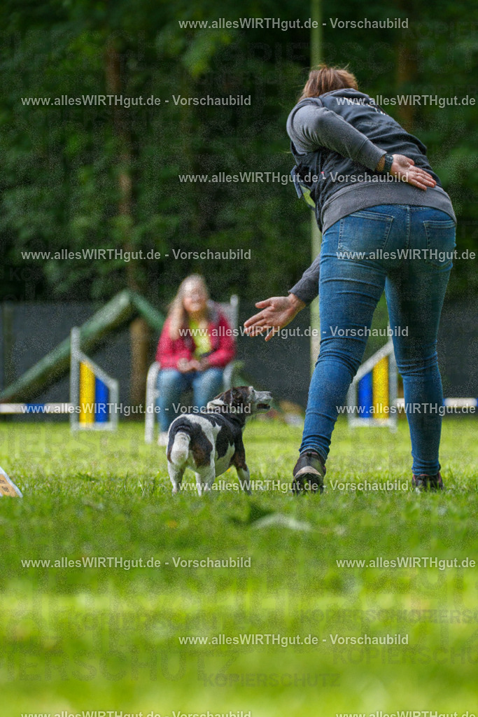 @allesWIRTHgut_Tierfotografie - www.allesWIRTHgut.de - 083106-7R506280 | Professionelle Tierfotografie in Mönchengladbach von Daniel Wirth (allesWIRTHgut). Liebevolle & natürliche Bilder von Hunden & Katzen für unvergessliche Erinnerungen.