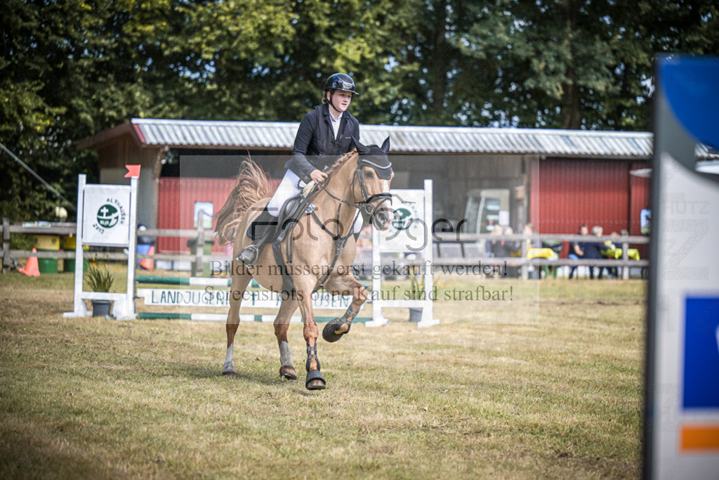 DOS_0481 | Entdecke hochwertige Reitturnierfotos von Foto Oger. Professionell, emotional und authentisch – jetzt Lieblingsmomente im Shop bestellen.Deutschlandweite Turnierfotografie. - Realisiert mit Pictrs.com