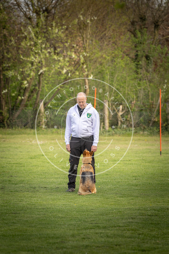 Pfotenfotografie_DV3A4924 | Hundefotografie, Tierfotograf, Pfotenfotografie, Fotoshooting Hund, Hunde Portrait, Hundesport, Hundeportraits, Heideshooting, Hunde, Sportfotograf, Hundefotograf, Turnierhundsport, THS,  - Realisiert mit Pictrs.com