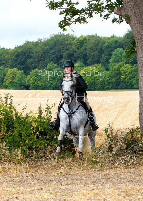 Jagd Knoop 26_MarinaHewigMCH02175 | Fotografie, FotoArt, PferdesportArt, Pferdesportfotografie, Landschaftsfotografie, Reisefotografie, Reise, Pferde - Realisiert mit Pictrs.com