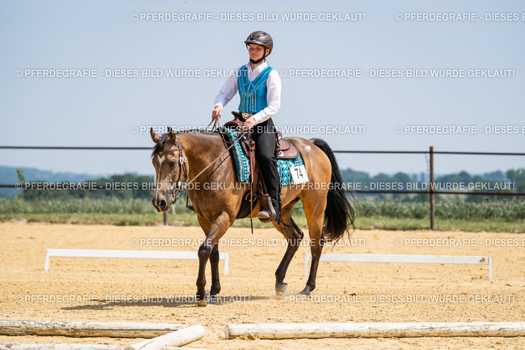 DSC00928 | Pferdegrafie