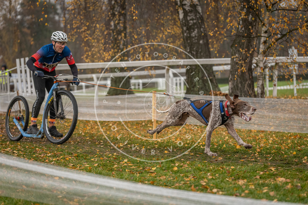 CaniXpix_DV3A7780 | Hundefotografie, Tierfotograf, Pfotenfotografie, Fotoshooting Hund, Hunde Portrait, Hundesport, Hundeportraits, Heideshooting, Hunde, Sportfotograf, Hundefotograf, Turnierhundsport, THS,  - Realisiert mit Pictrs.com