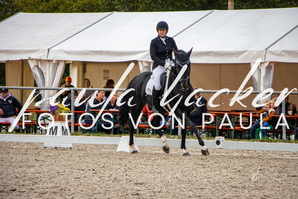 IMG_1964 | Erleben Sie dynamische Sport- und emotionale Tierfotografie in Süddeutschland mit Fotos von Paula. Spezialisiert auf Pferde- und Hundefotografie sowie Sportevents. Kontaktieren Sie mich für einzigartige und ausdrucksstarke Bilder Ihrer besonderen Momente. - Realisiert mit Pictrs.com