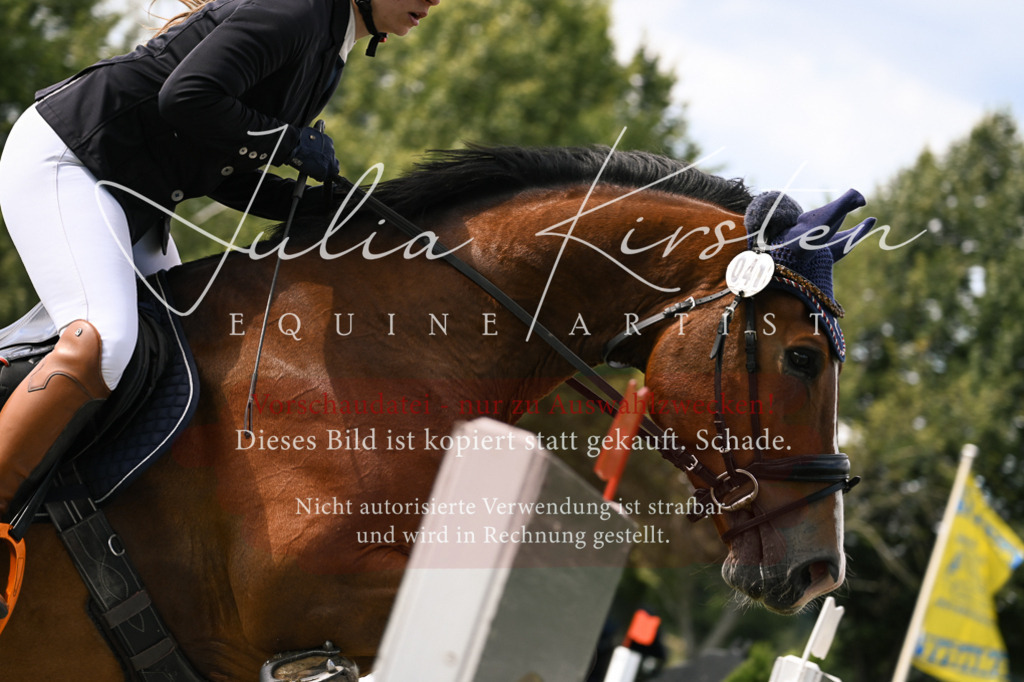 DSC_0918 | Pferde- und Turnierfotografie in Westsachsen. Pferdeportraits, Auftragszeichnungen und intuitive Kunst.