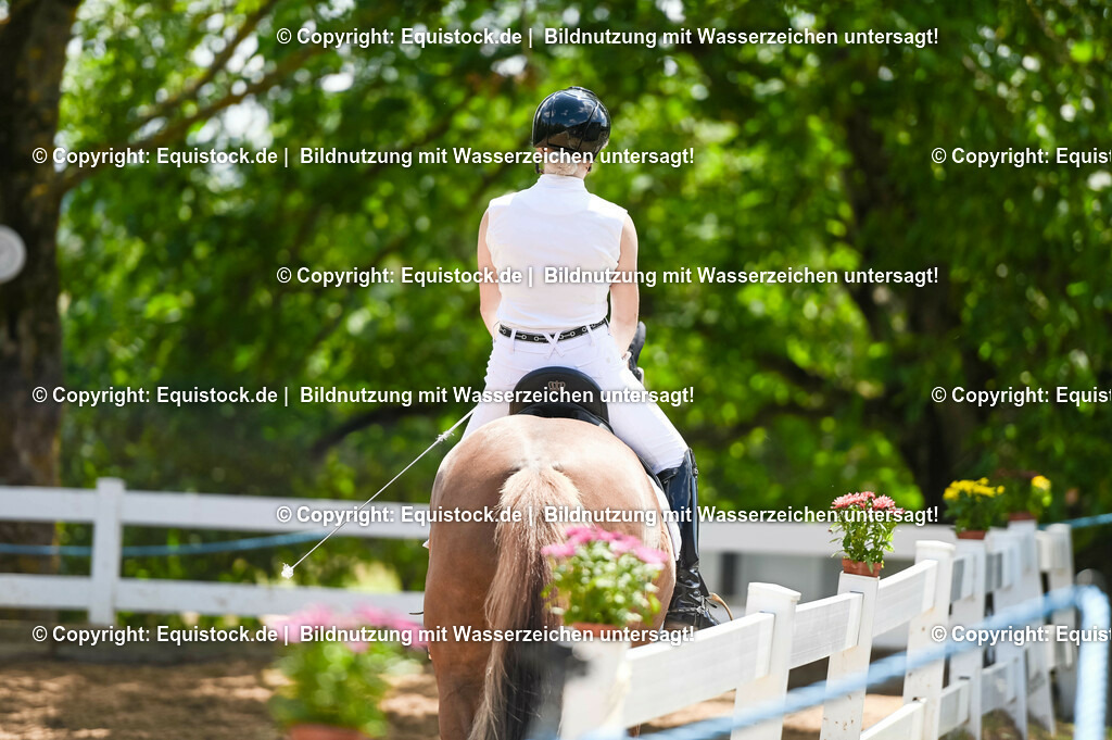 20230716_03_Dressurprfg. Kl.L - Tr._0481 | equistock
