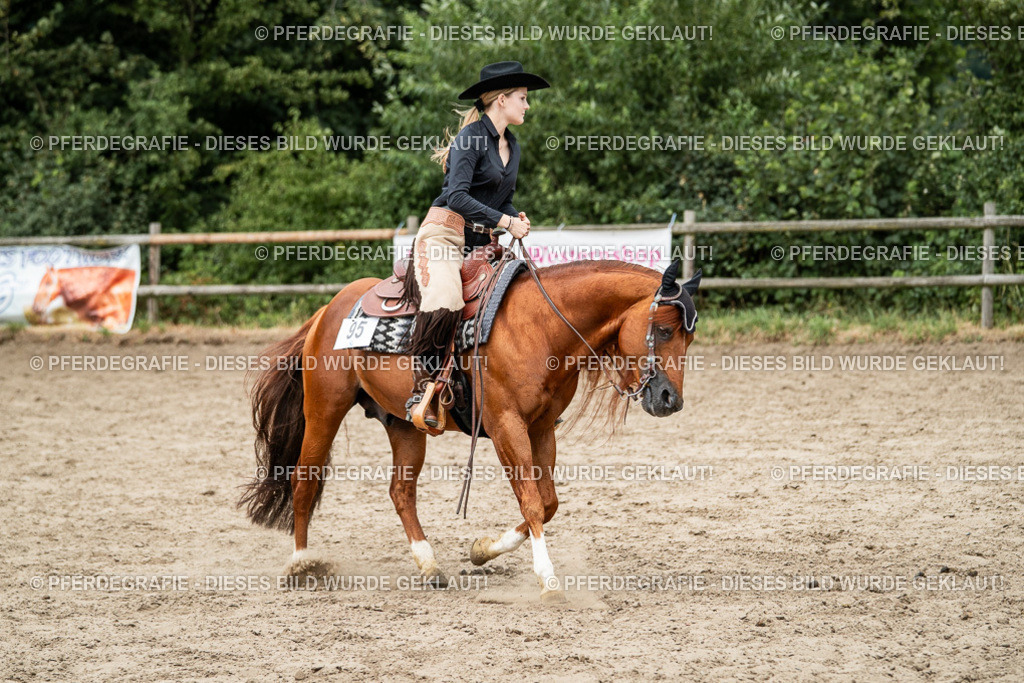 DSC02546 | Pferdegrafie